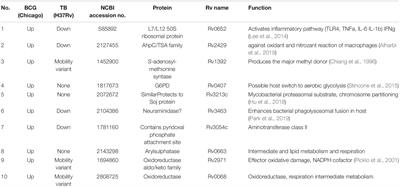 Bacillus Calmette–Guérin in Immuno-Regulation of Alzheimer’s Disease